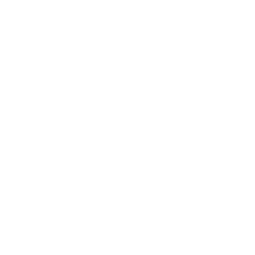 Logo Blanc From Dream To Brand